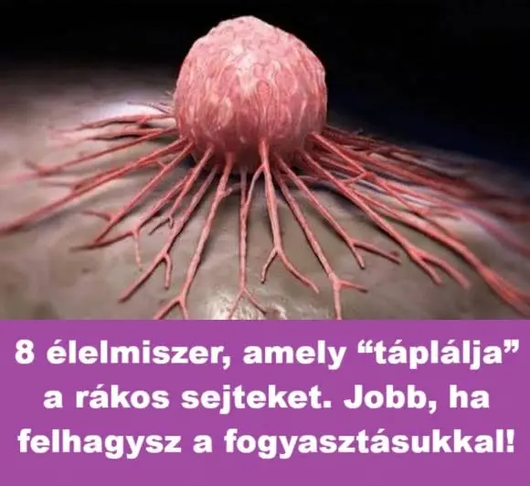 egeszsegujk 1024x576 1 678x381
