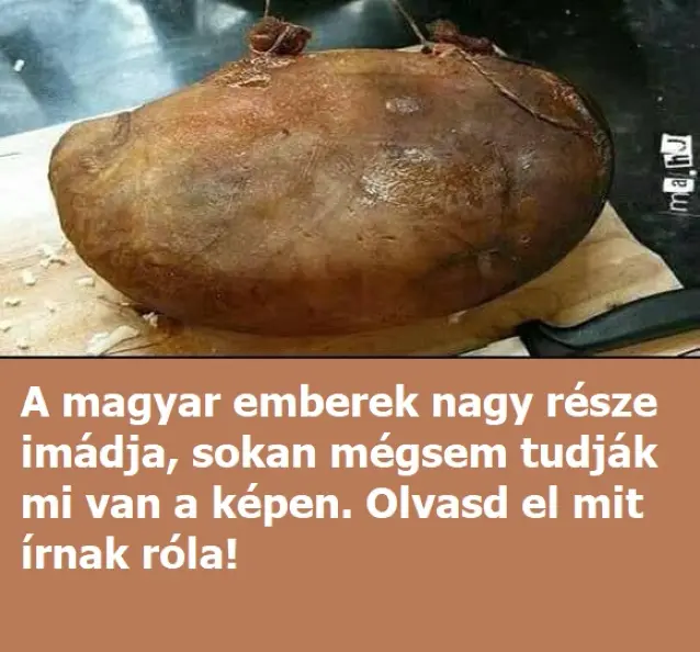disznosajt65231374 n