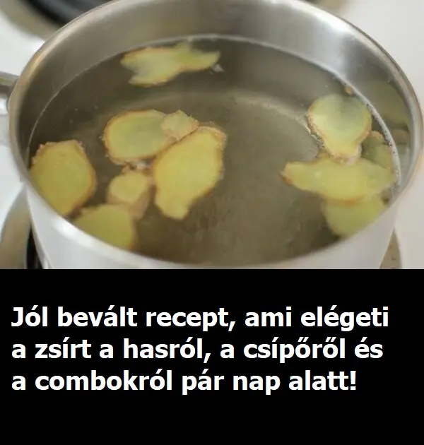 hasi zsir ellen81
