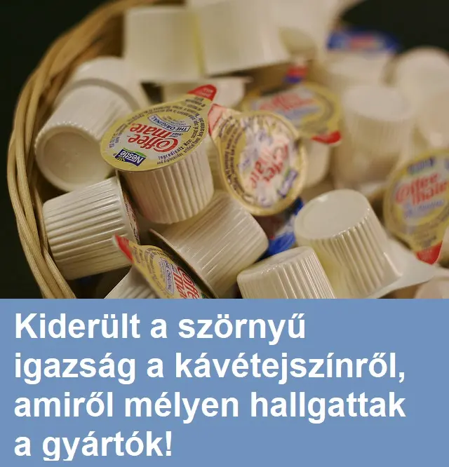 kavetejszin22