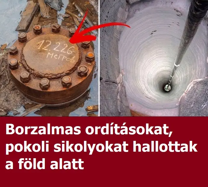 Borzalmas orditasok
