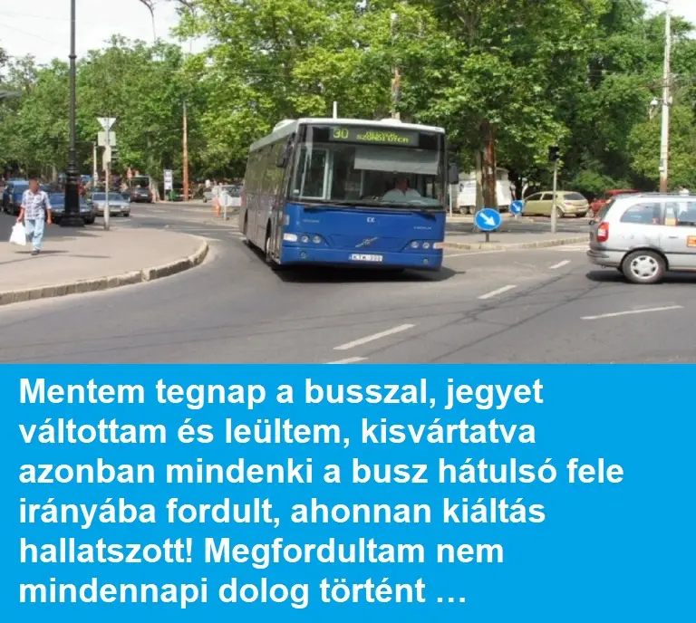 busz7