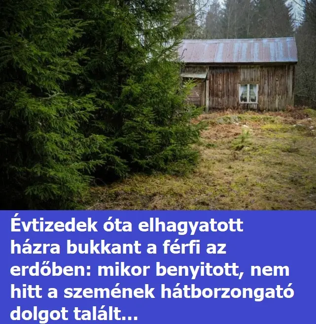 elhagtyotthaz wm