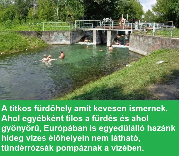 hevezi kifolyo