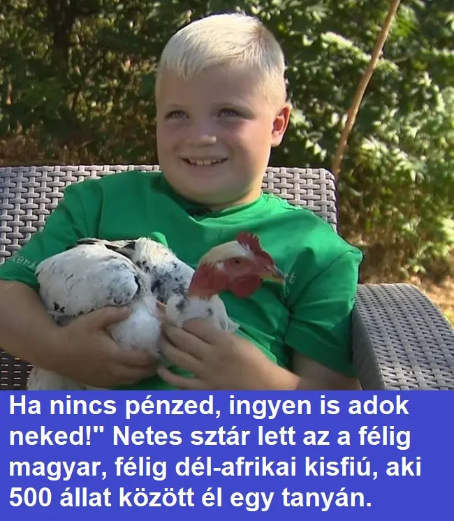 kisfiucsirkevel576082 n