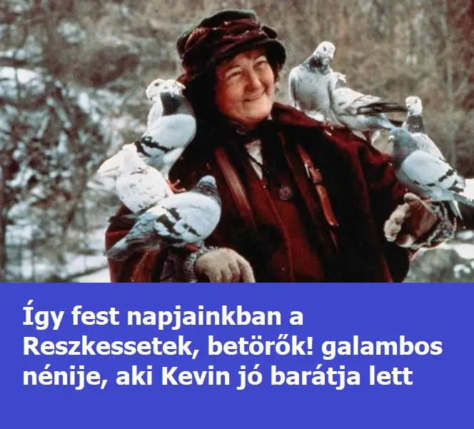 reszbetorx3n6