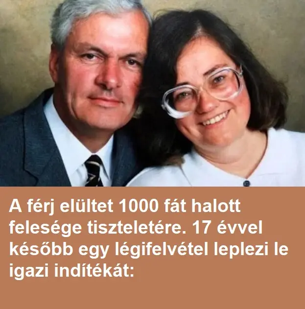 szvalakuerdo381