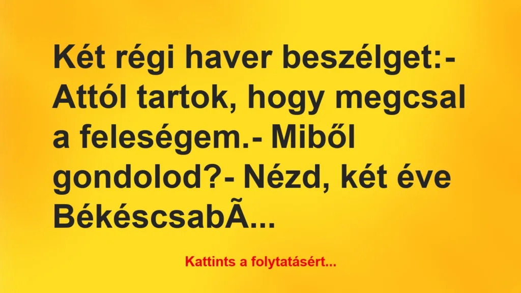 vicc ket regi haver beszelget attol tartok hogy megcsal a 1024x576